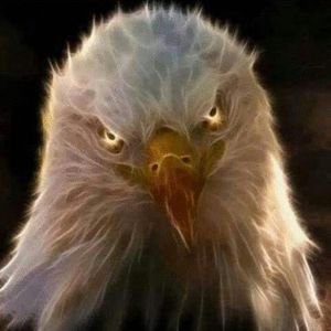 Meet your Posher, Jeff